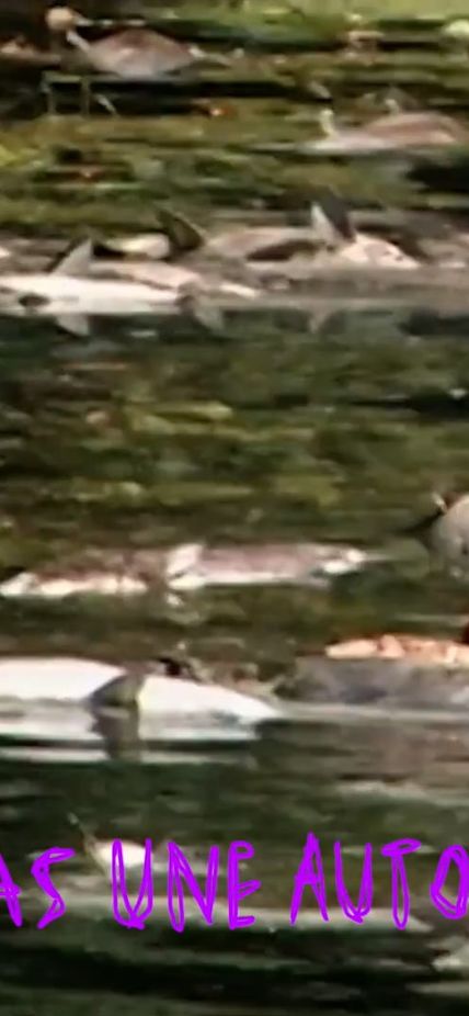 Découvrir le film du mois